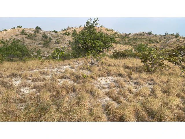 Zoning for homes, apartments, and warehouses in the mountains of Liberia, Beautiful 9.7 ha land with building permits - Gallery image 7