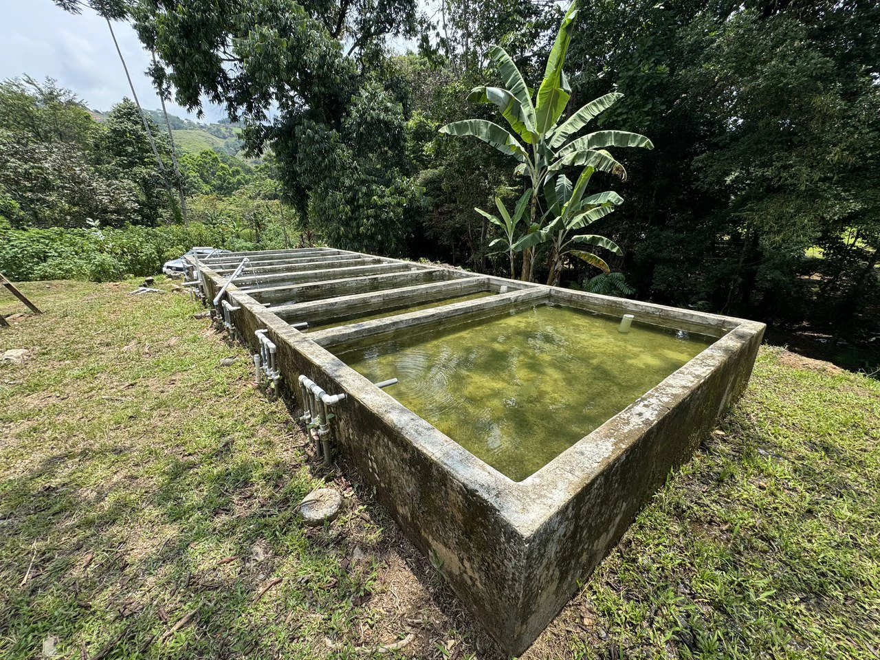 50 Acre Waterfall and River Paradise Above Dominical - Gallery image 4