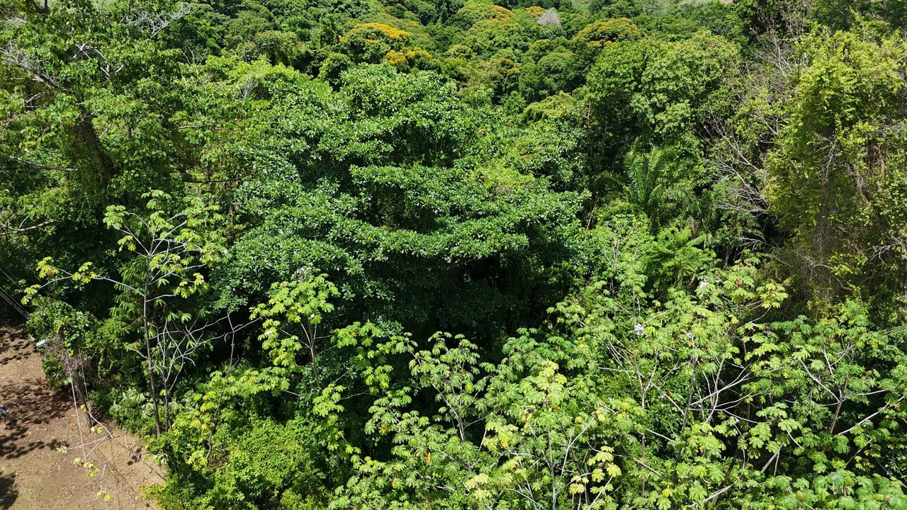 Exquisite Jungle property with Ocean View | Gated Community in Ojochal 3 - Gallery image 13