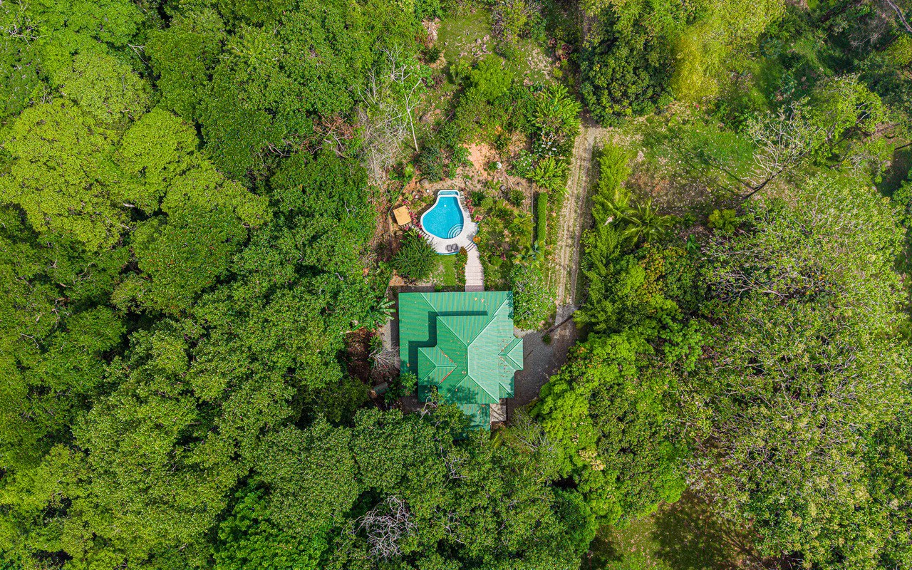 Whale's Tail Ocean View Estate with Extra Lot in Between Uvita and Dominical - Gallery image 100