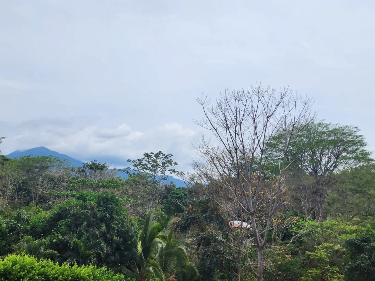 Countryside and Mountain Home Construction Site For Sale in San Juan de Mata - Gallery image 2