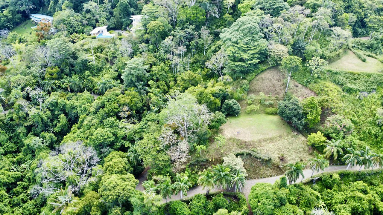 3.6 Acre Ocean View, Near the Beach & Cool Mountain Elevation: Mountain Home Construction Site For Sale in Lagunas - Gallery image 3
