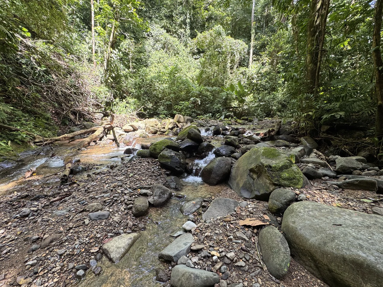 23.5 Acre Waterfall & Riverfront Estate Bahia Ballena Osa Peninsula - Gallery image 15