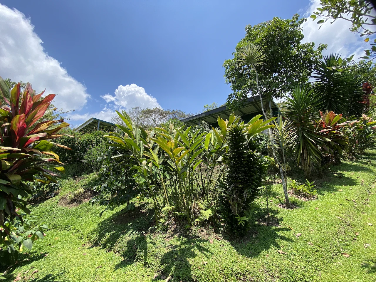 Beautiful Property with 4 cabins in El Castillo with gorgeous Lake View..!! - photo 26