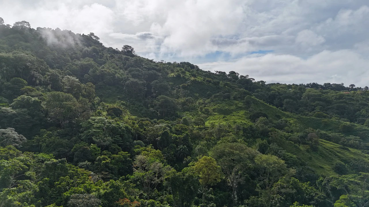 Exceptional Ocean & Mountain View Property in Pinuela Arriba, Costa Rica - Gallery image 11
