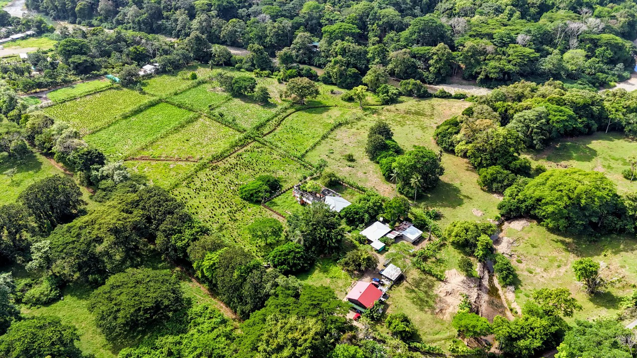 Finca en Barú: Near the Coast and Riverfront Agricultural Land For Sale in Barú - Gallery image 6
