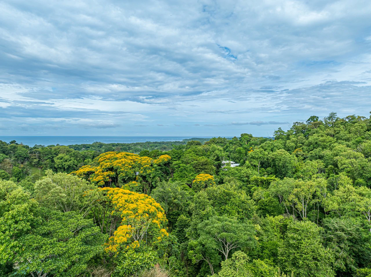 2.56 ACRES – 3 Bedroom Artistic Architectural Masterpiece, Recording Studio, Ocean View, Pool, 1 Bedroom Guest House!!! - Gallery image 10