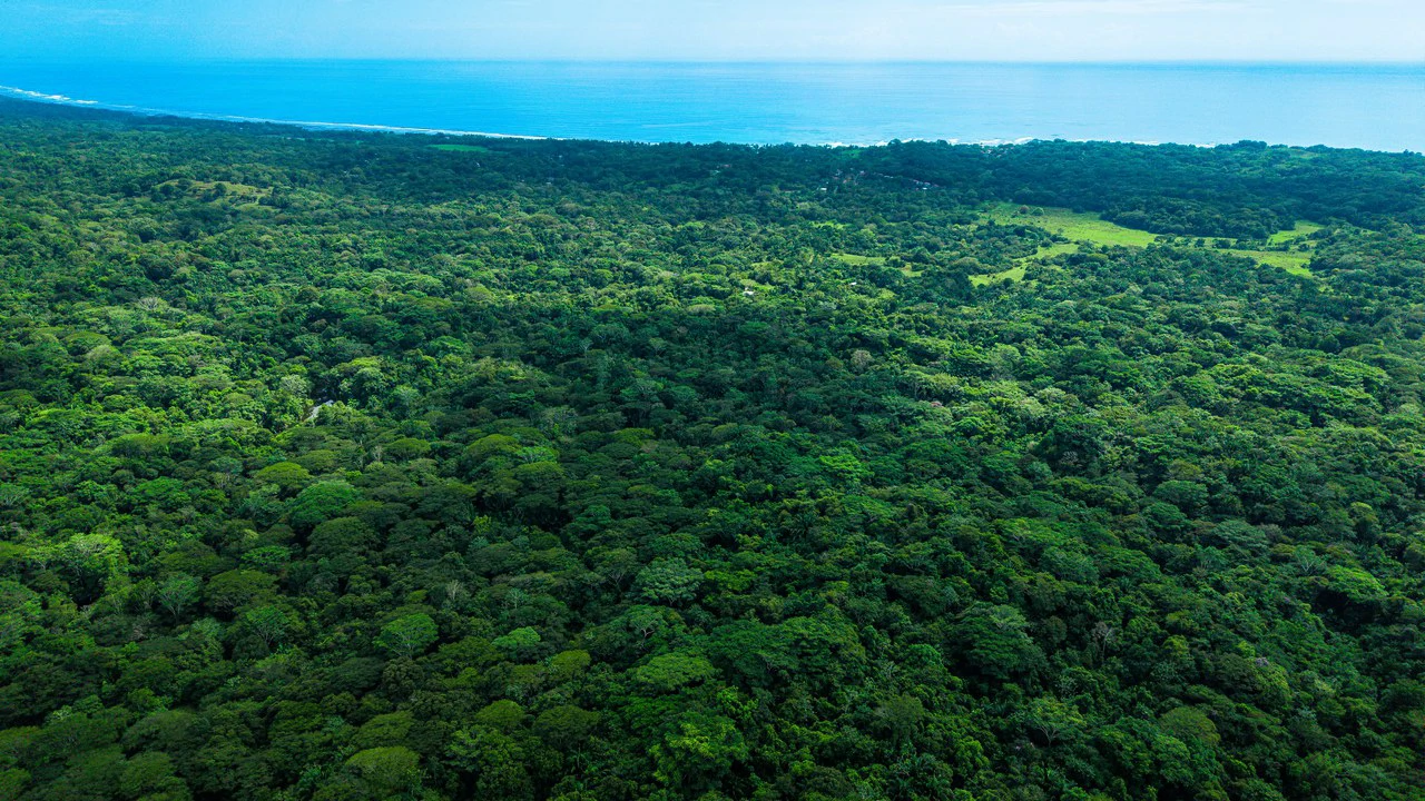 4,850 Acre Beachfront Legacy Ranch Esterillos Central Pacific Coast - Gallery image 28