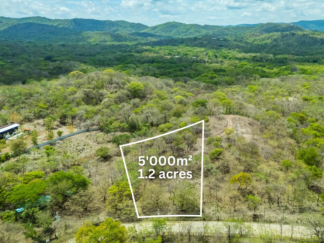 Pura Jungla Lots: Expansive Lots with Water Availability in Los Pargos - Gallery image 3