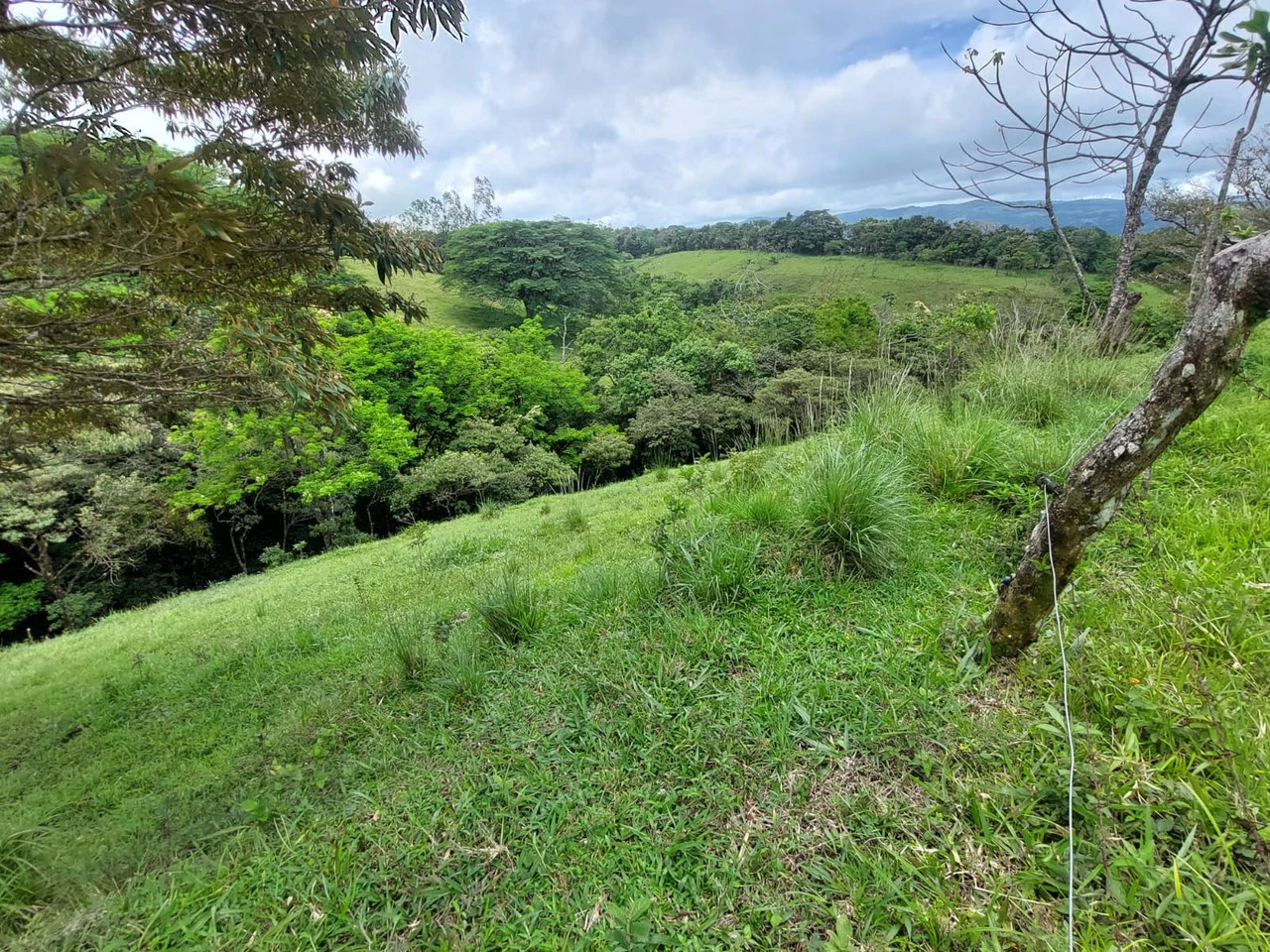 RIVER ROCK HILLS - Gallery image 2
