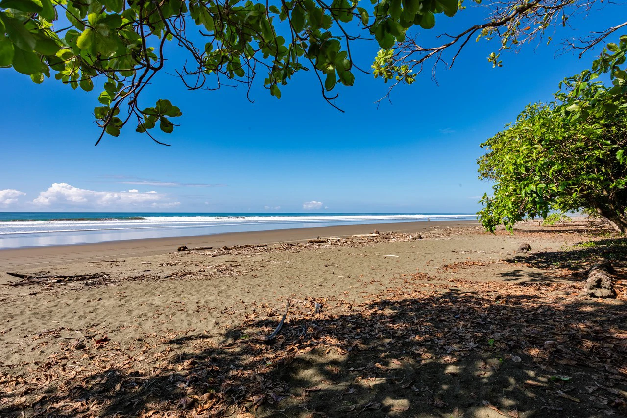 Exclusive Beachfront Opportunity south of Manuel Antonio Costa Rica - Gallery image 20