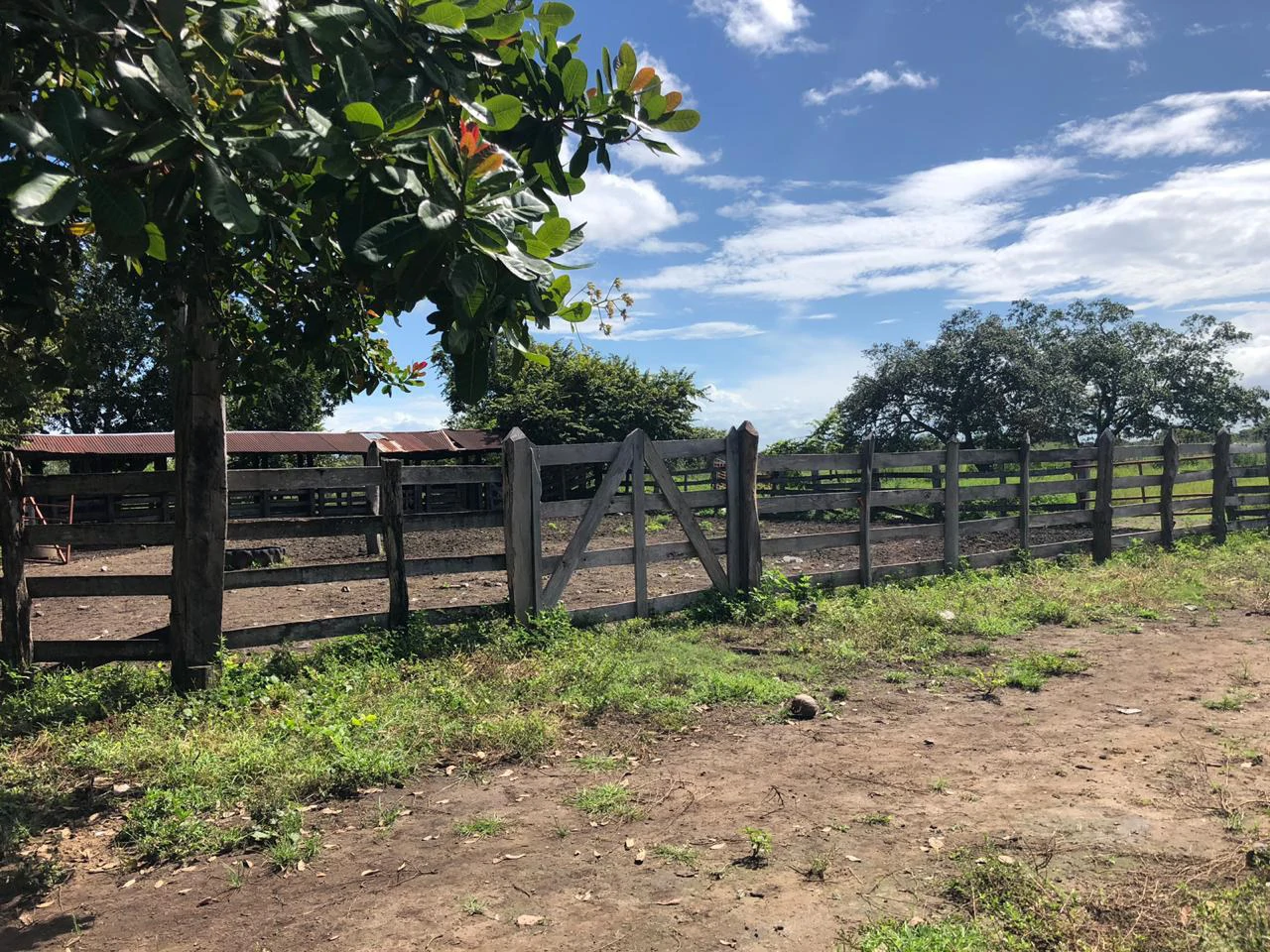 Great investment opportunity, property adjacent to Liberia Airport - Gallery image 18