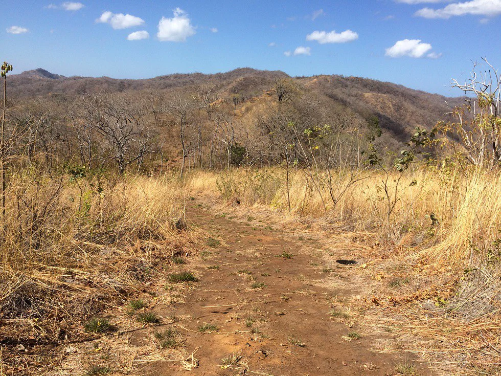 Ocean view property in the area of Guanacaste, great commercial opportunity near the Hotel Riu - Gallery image 17
