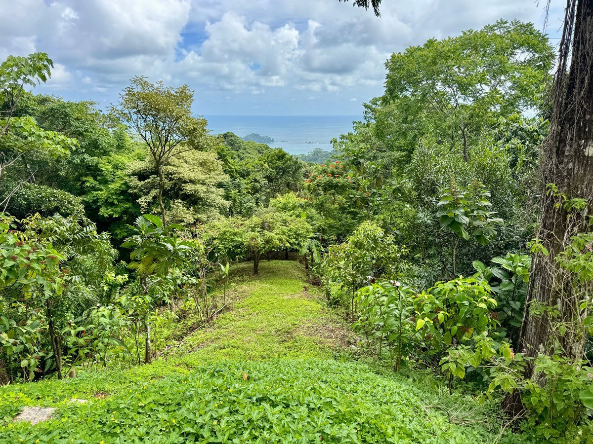 12.25 ACRES – 3 Bedroom 2 Story Ocean View Home 10 Min To The Beach!!! - photo 31
