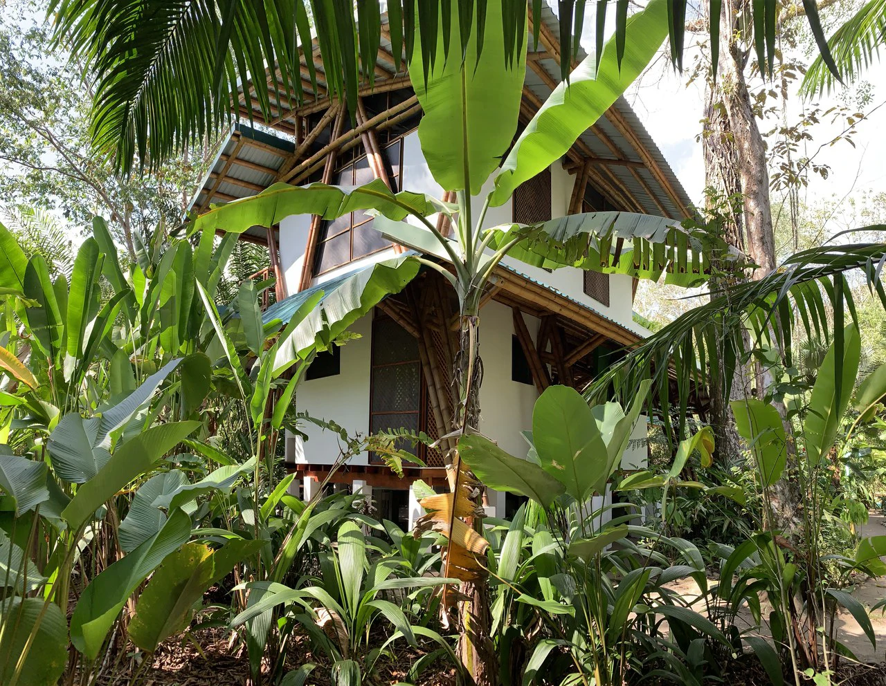 Jungle Beach Exotic Retreat - Gallery image 28