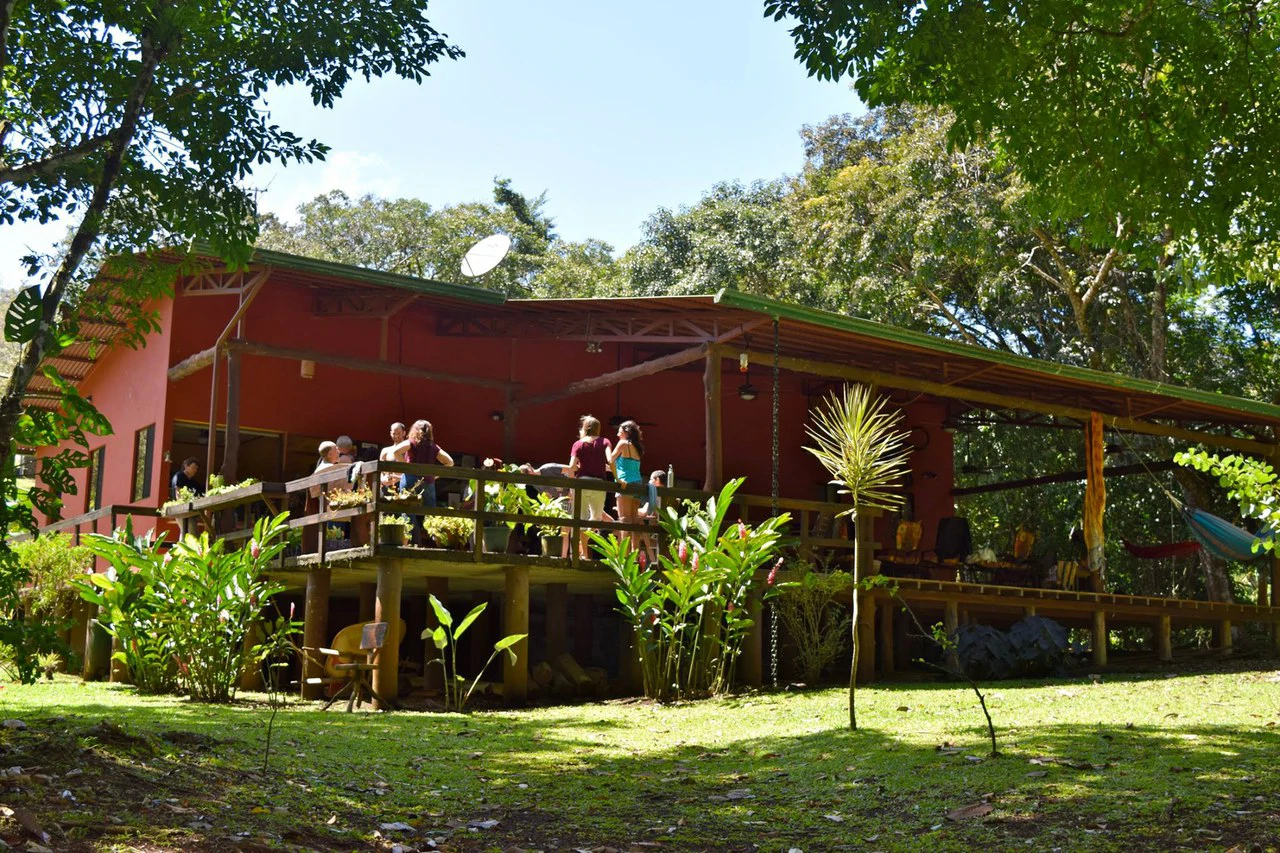 RIO SABALO: Yoga- Wellness-  and Eco Retreat Center - Gallery image 6