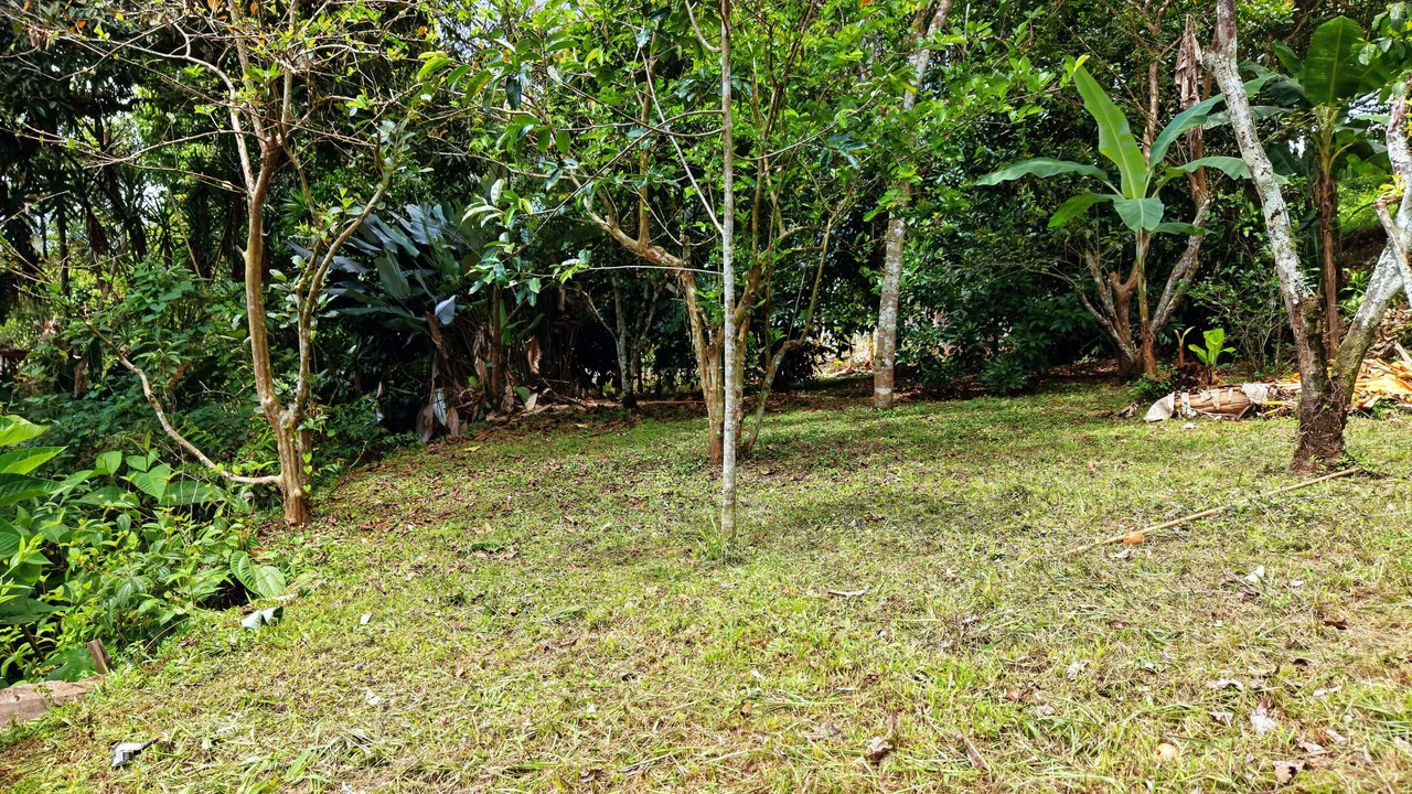 Home Construction Site For Sale in Centro de Pérez Zeledón - Gallery image 2