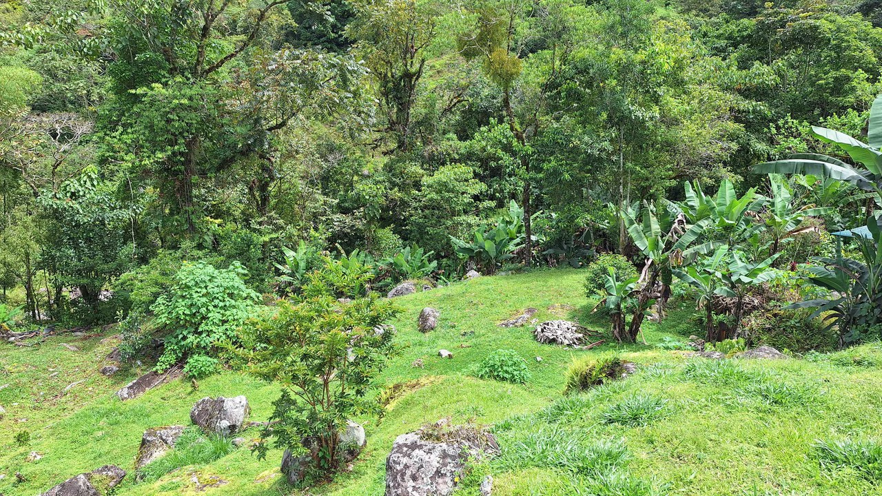 Propiedad en cedral: Mountain Home Construction Site For Sale in Cajón - Gallery image 8