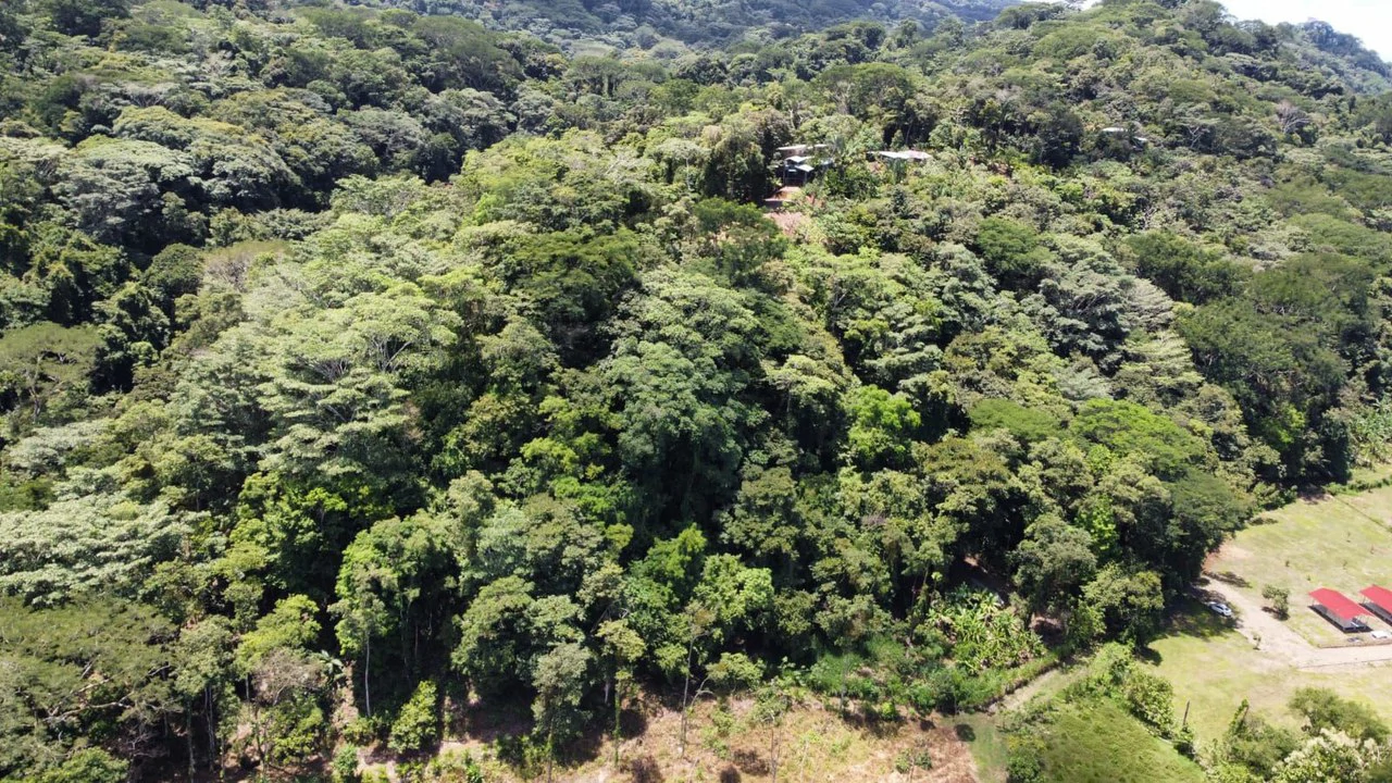 TERRENO EN VENTA, PUNTARENAS.: Mountain Home Construction Site For Sale in Hatillo - Gallery image 16