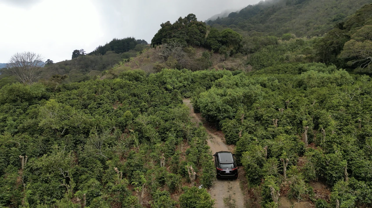 Copey Dota: Coffe farm for Sale in Copey de Dota - Gallery image 3