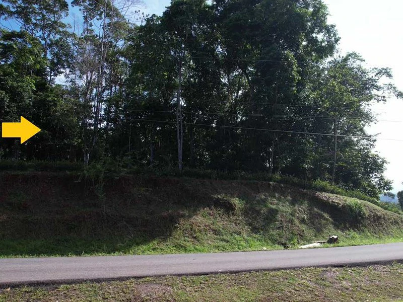 2.47 Acres Property | Mountain Top Ocean View lot in Bahía Chal - Gallery image 14