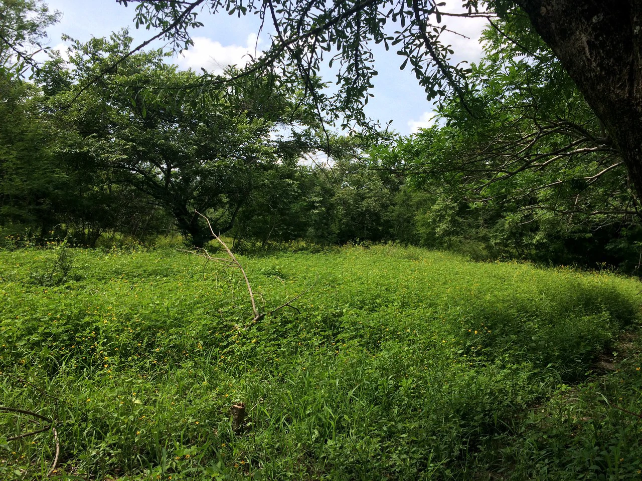 Commercial Airport Property for Sale in Liberia, Guanacaste Prime Frontage on Route #21