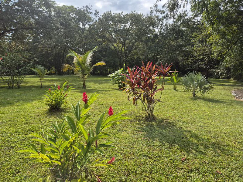 Casas Jungle: Charming Rental Compound with 5 units & pool in the heart of nature, minutes from Samara’s beaches - Gallery image 25
