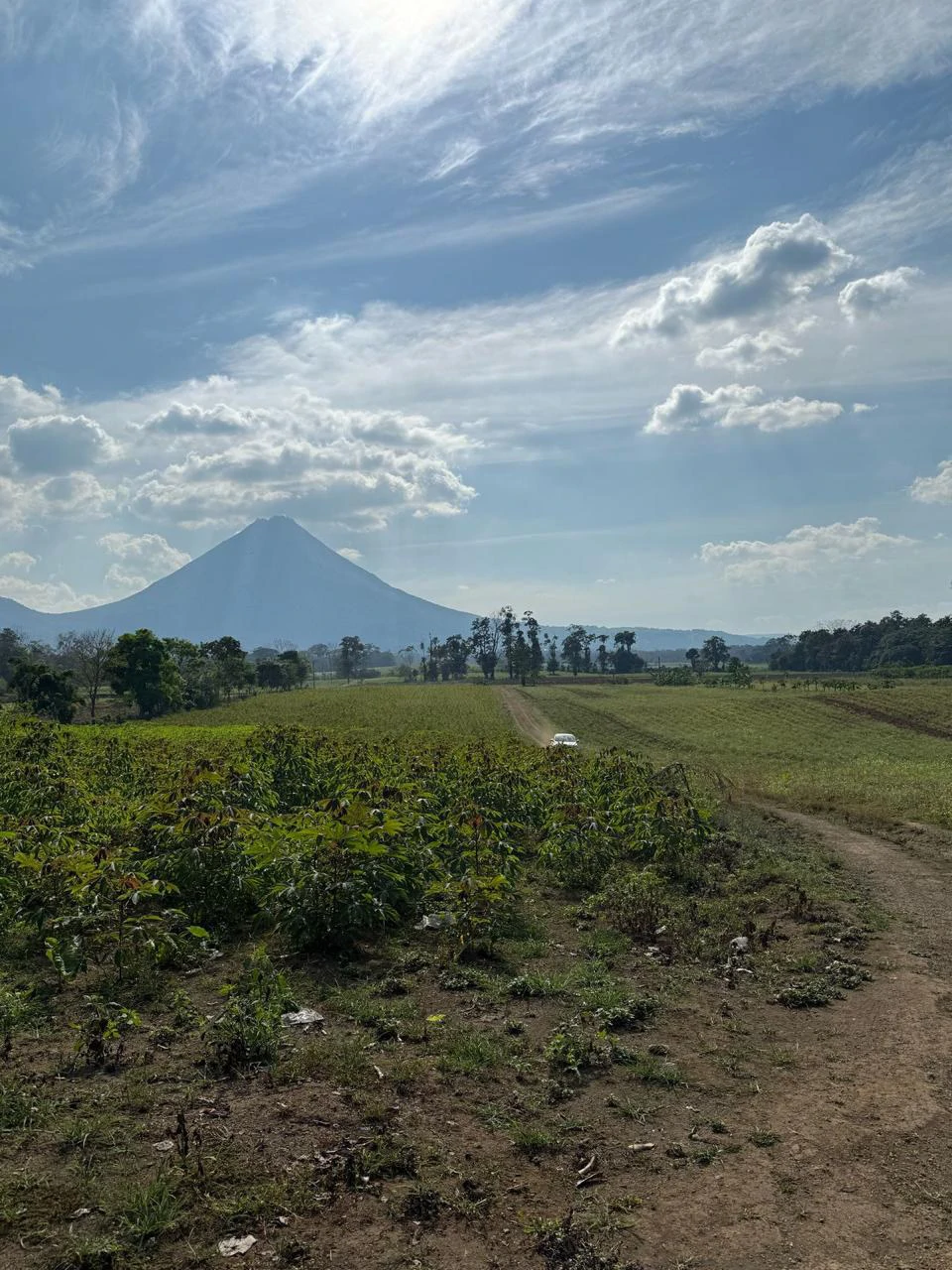 La Fortuna (Arenal) Opportunity!: 4 ha in La Fortuna Tourist Hotspot! USO: Hotel | Commercial | Mixted - Gallery image 7