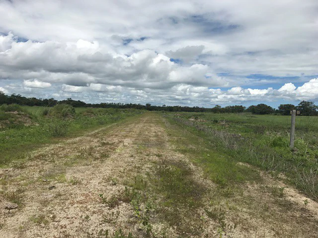 NYA project Price $ 17 m². 21 hectares - Gallery image 10
