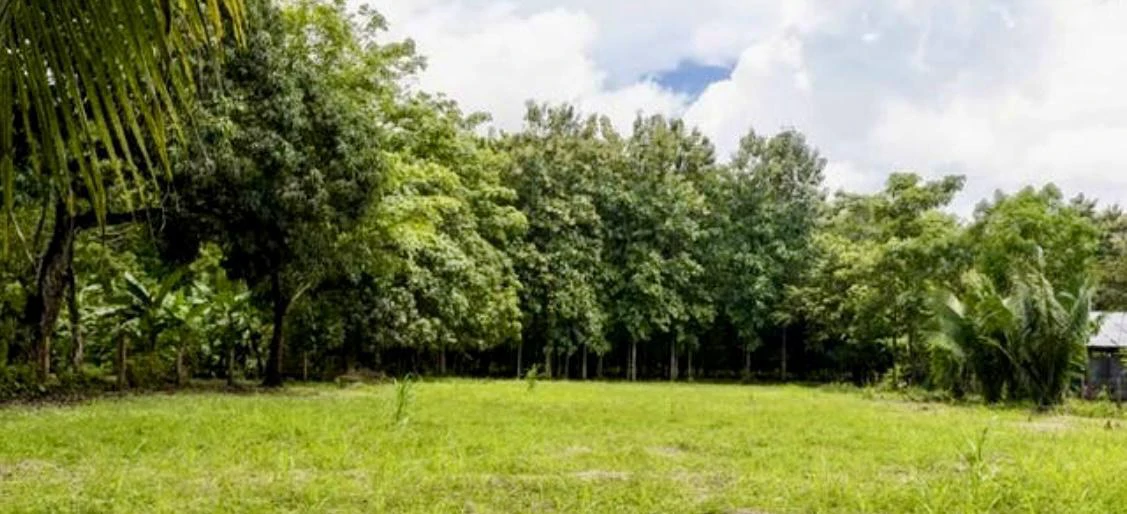 Lot for sale near Playa Coyote Guanacaste Costa Rica - Gallery image 4