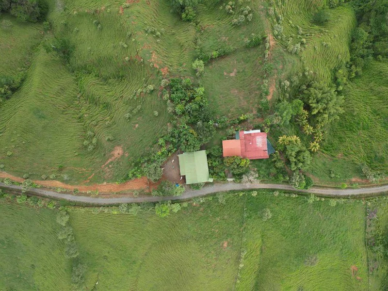 Livestock Farm | Titled property located in Santa Eduviges - Gallery image 3