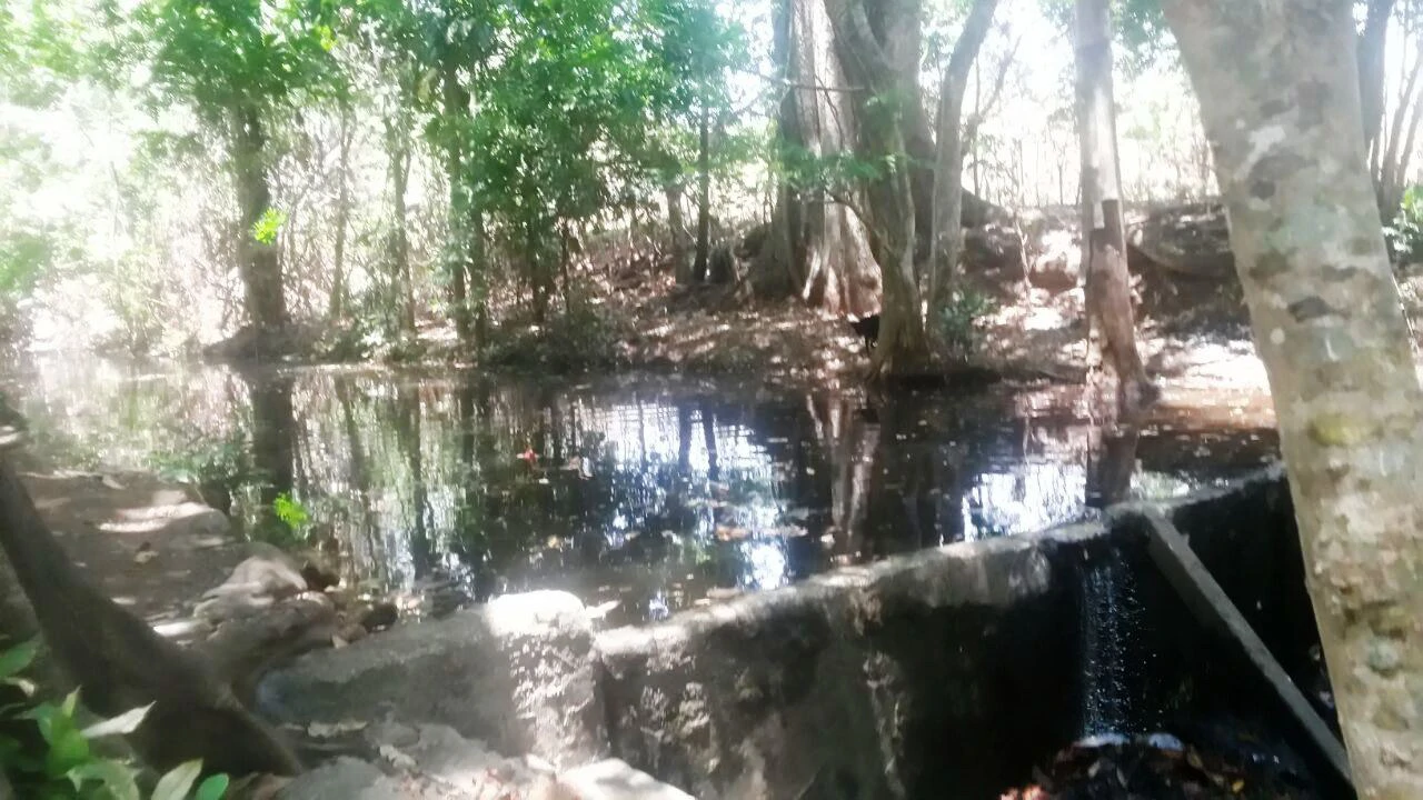 Finca Wellness: Live the Pura Vida Dream – Nature, Privacy & Pacific Beaches - photo 17