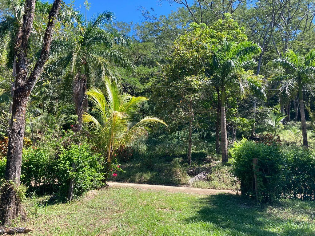 Lote del Bosque: Beautiful Acre Lot in Montaña - Gallery image 6