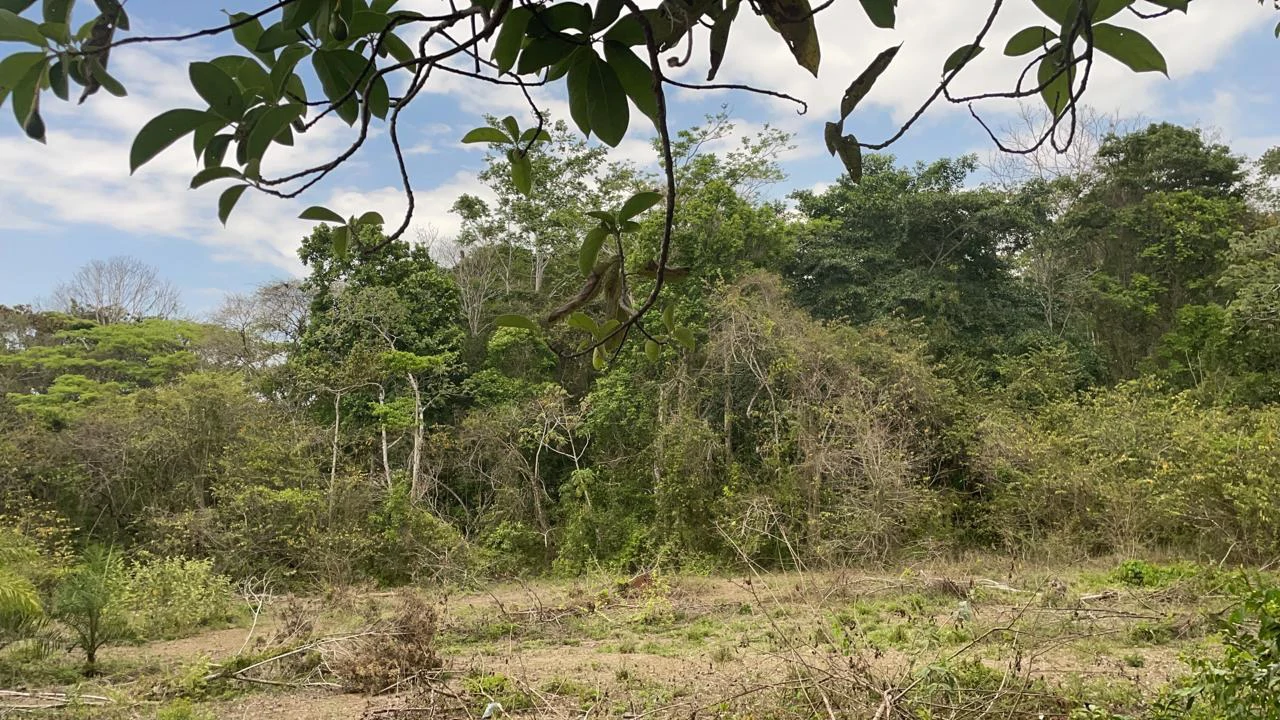 Development Property. Playa Herradura. Costa Rica - Gallery image 2