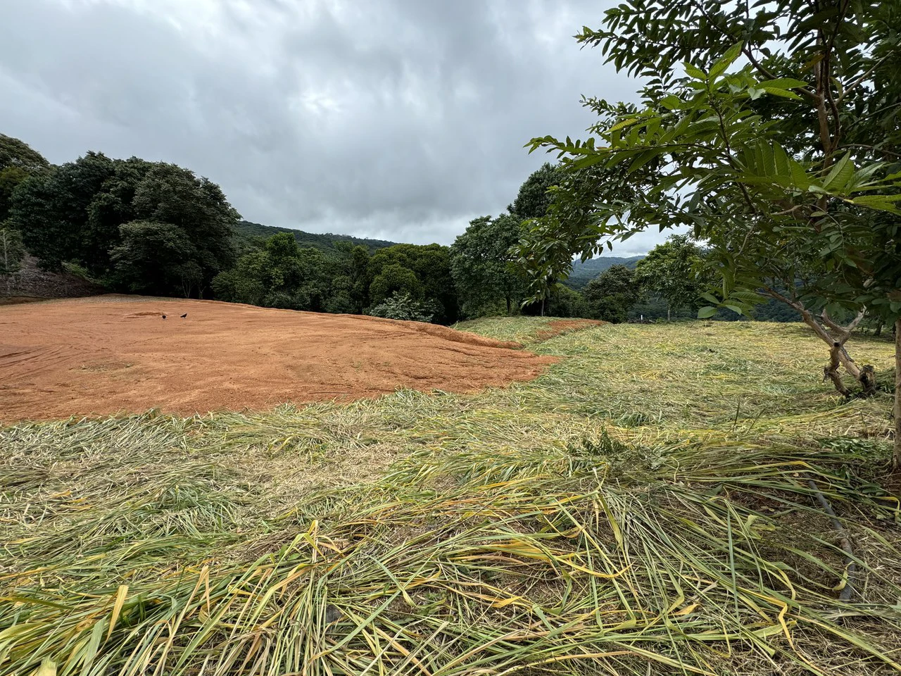 Playa Dominical Mountain Farming Property - Gallery image 13