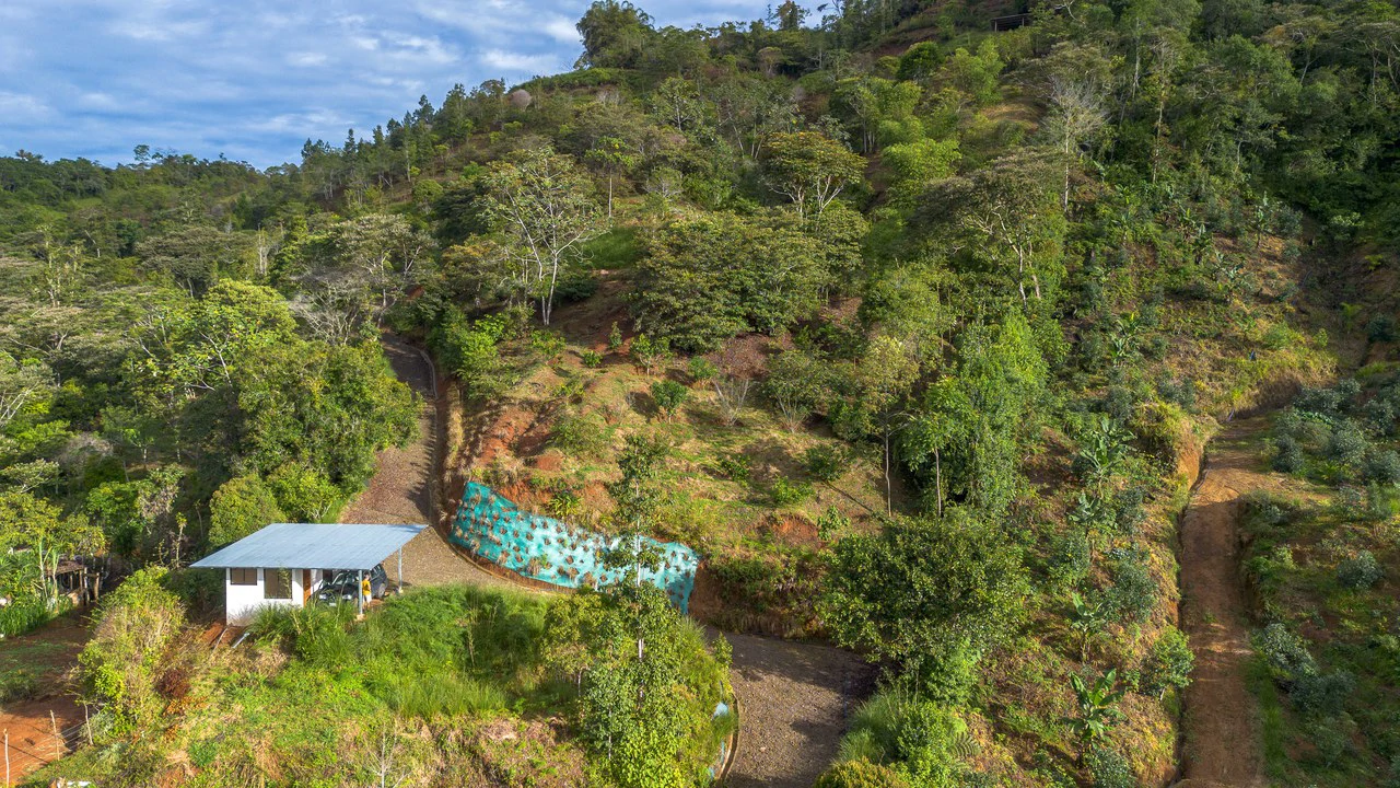 10.21 Acres with Views & Plantels – Pérez Zeledón - Gallery image 26