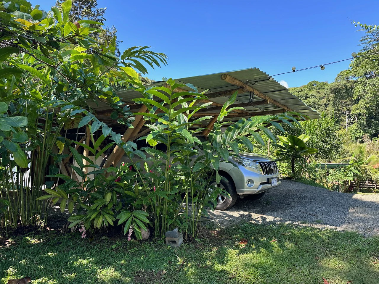 Sustainable Living Farm to Table with Home, Guest House ,Tinamastes on the River - Gallery image 16