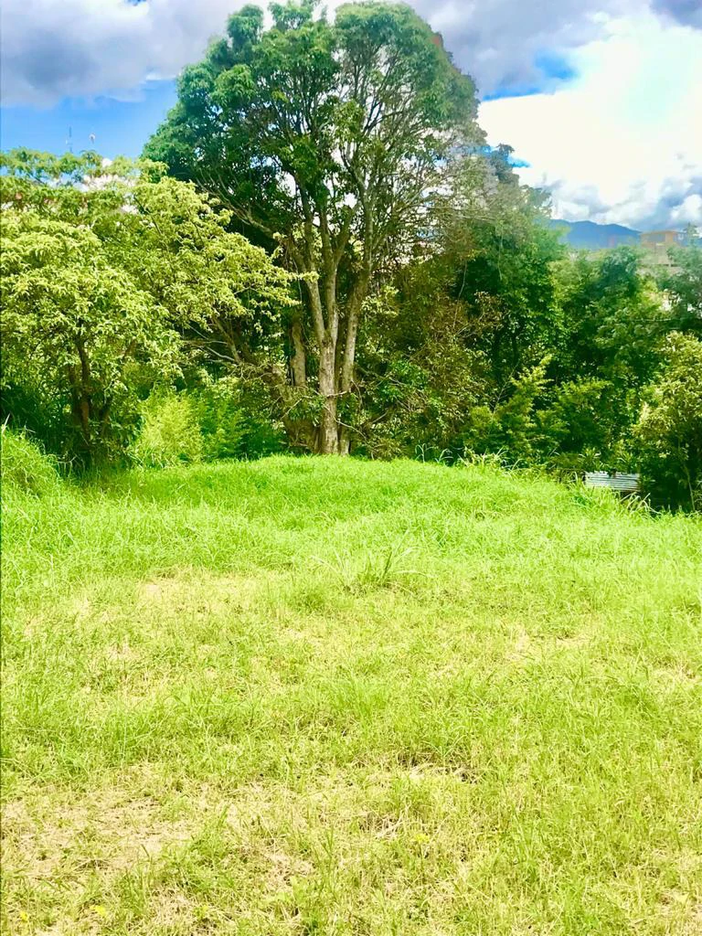 Goicoechea: Commercial Lot for Sale San Francisco Goicoechea High Vehicular Zone - Gallery image 2