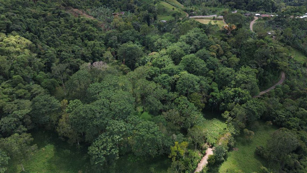 Mountain Home Construction Site For Sale in Guadalupe - photo 3