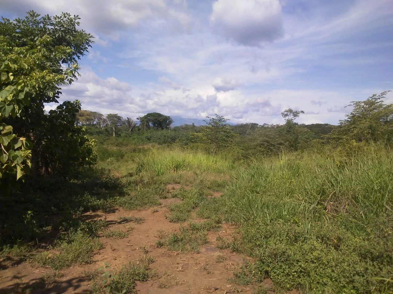 Large commercial property for sale in the Papagayo area, close to the Marina Papagayo or Four Season luxury hotel - Gallery image 2