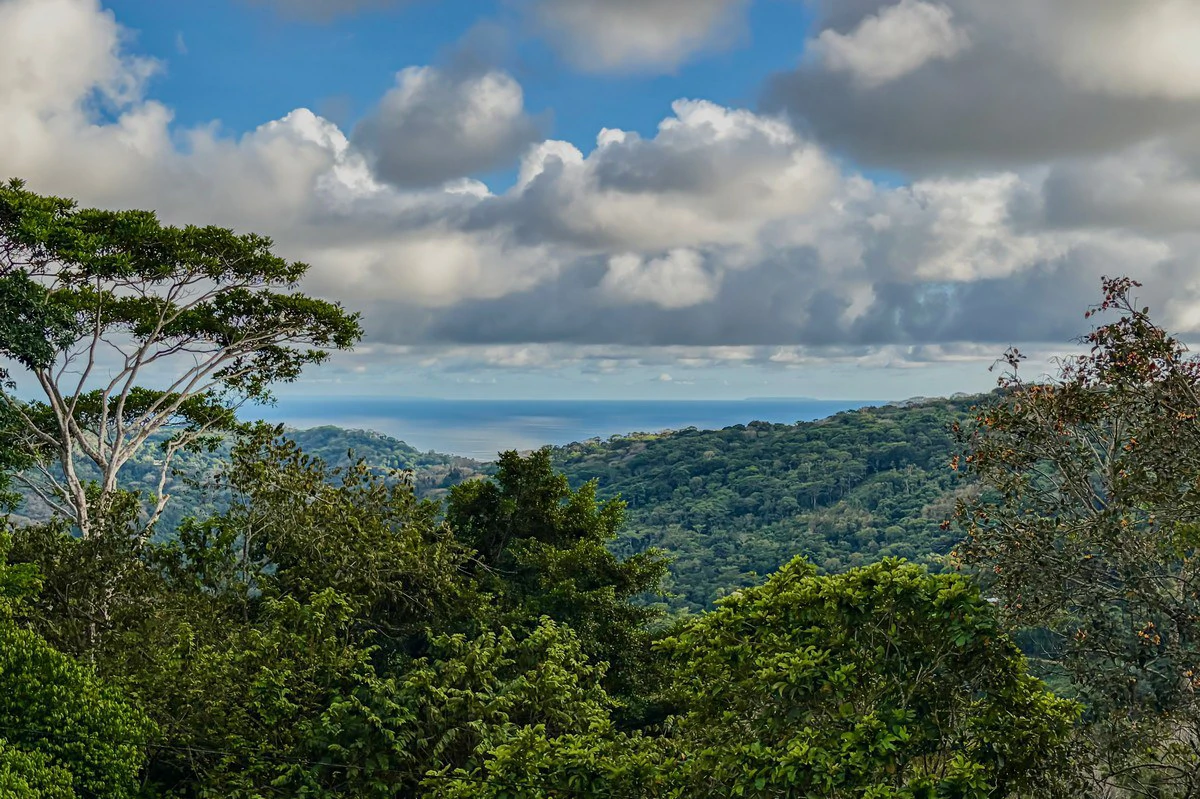 3.64 ACRES - 3 Bedroom Home With Expansive Ocean Views, Multiple Areas to Build, Public Road With Commercial Potential, 10min to the Beach!! - Gallery image 4