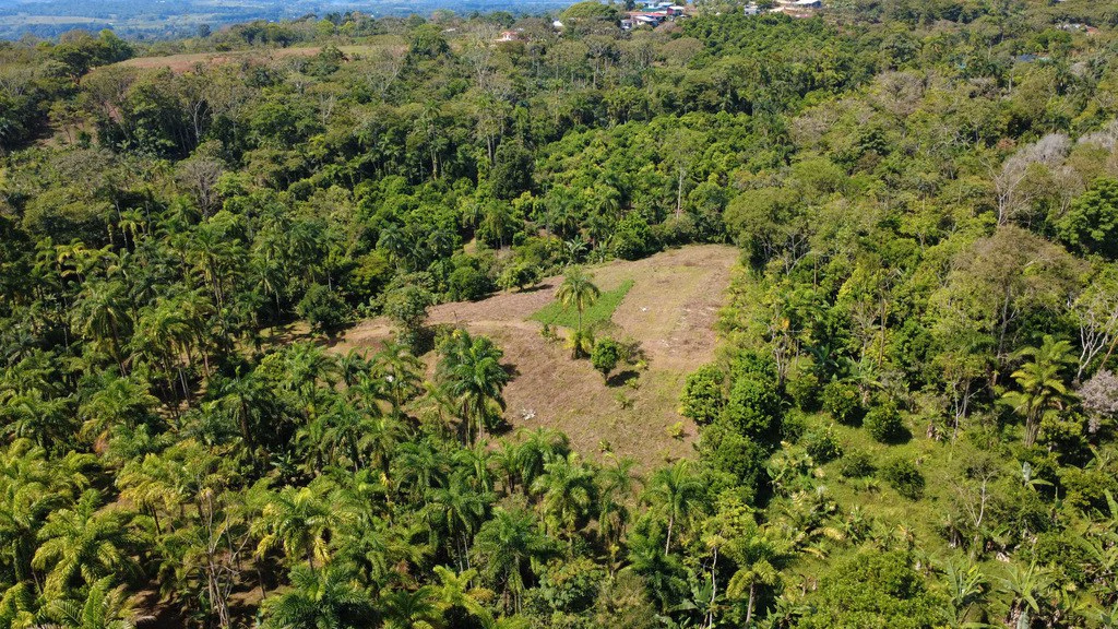 Countryside Agricultural Land For Sale in Pueblo Nuevo - Gallery image 5