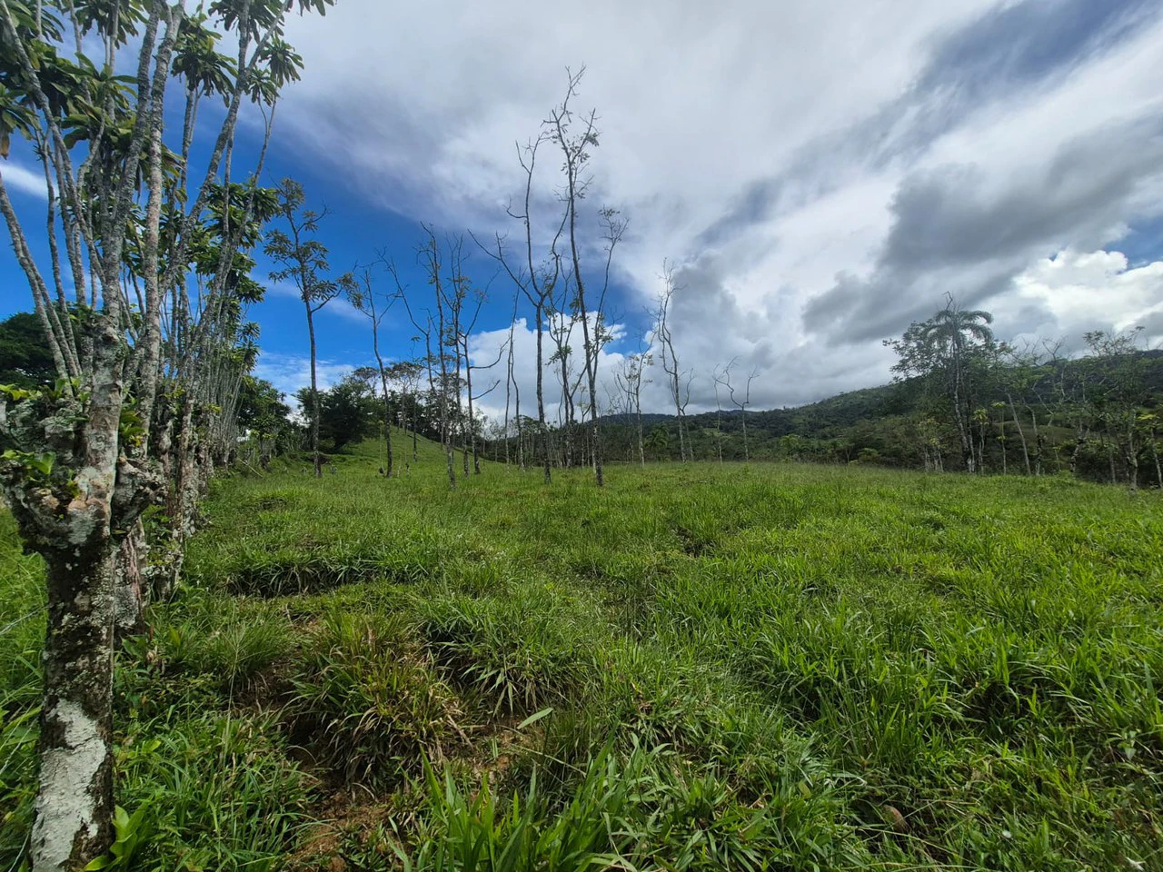 Countryside Agricultural Land For Sale in Centro de Pérez Zeledón - Gallery image 8
