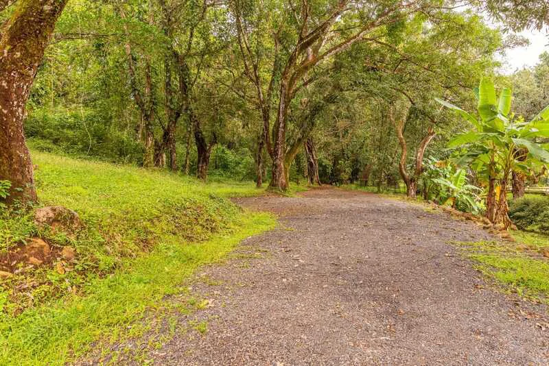 SAN MATEO PROPERTY: Riverfront and Mountain House For Sale in San Mateo de Alajuela - Gallery image 12