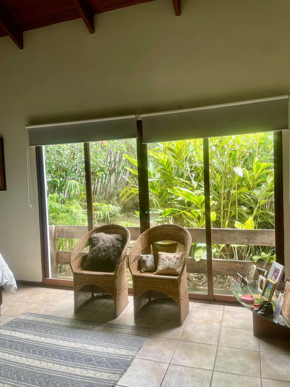 House to Remodel with 1,700 sq m of Land in Pozos, Santa Ana - Gallery image 19
