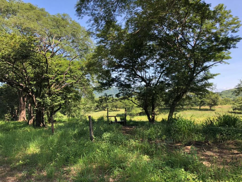 Huge dream Cattle farm for sale with 2 houses close to the Gulf of Nicoya, Guanacaste, Costa Rica - Gallery image 32