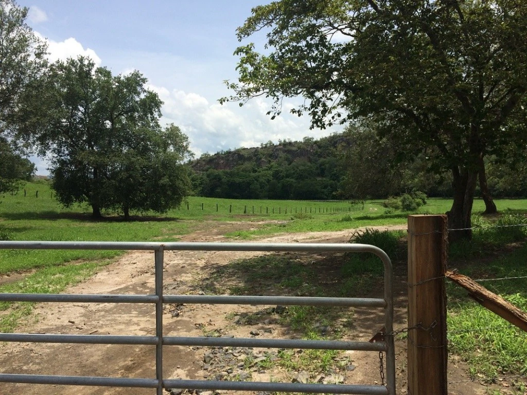 Propiedad de 79 hectáreas: Property of 79 hectares, located in Canas Dulces Liberia. - Gallery image 4
