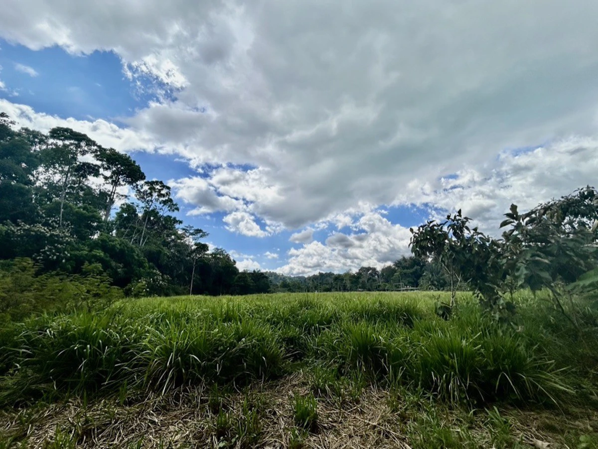 2.4 Acres Building Lot in Osa Peninsula - Gallery image 4