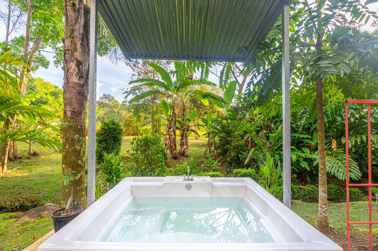 Creekside Harmony Villa | 4 Bedrooms • 2 Bathrooms • Private Pool • Surrounded by Nature - Gallery image 19