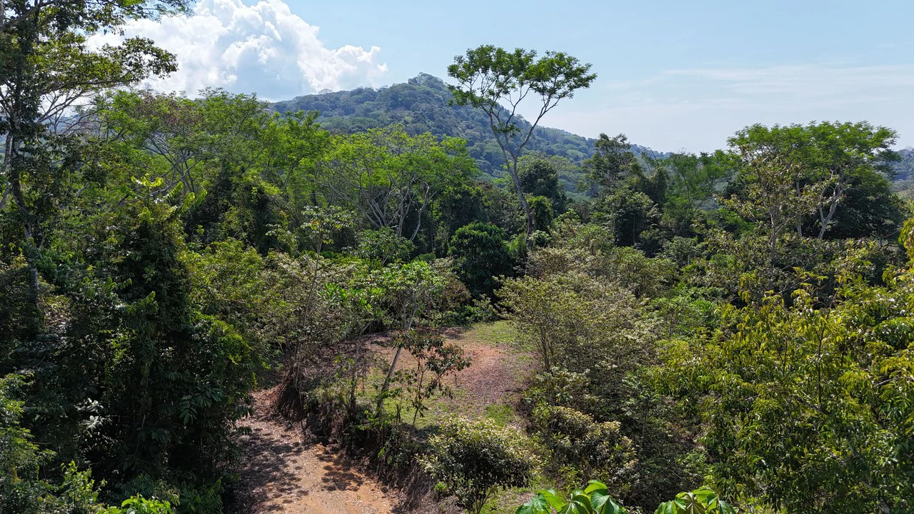 Exceptional Development Opportunity 71 acre Riverfront & Ocean View in Hatillo - Gallery image 13